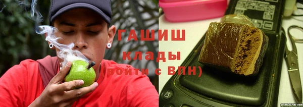 прущие грибы Магадан