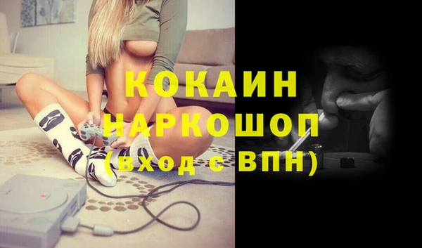 прущие грибы Магадан