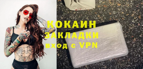 прущие грибы Магадан