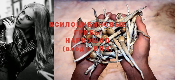 mix Магас