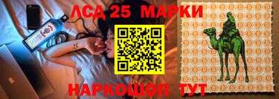 гидропоника Краснокаменск