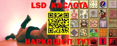 гидропоника Краснокаменск