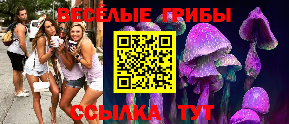 Псилоцибиновые грибы Psilocybe Химки