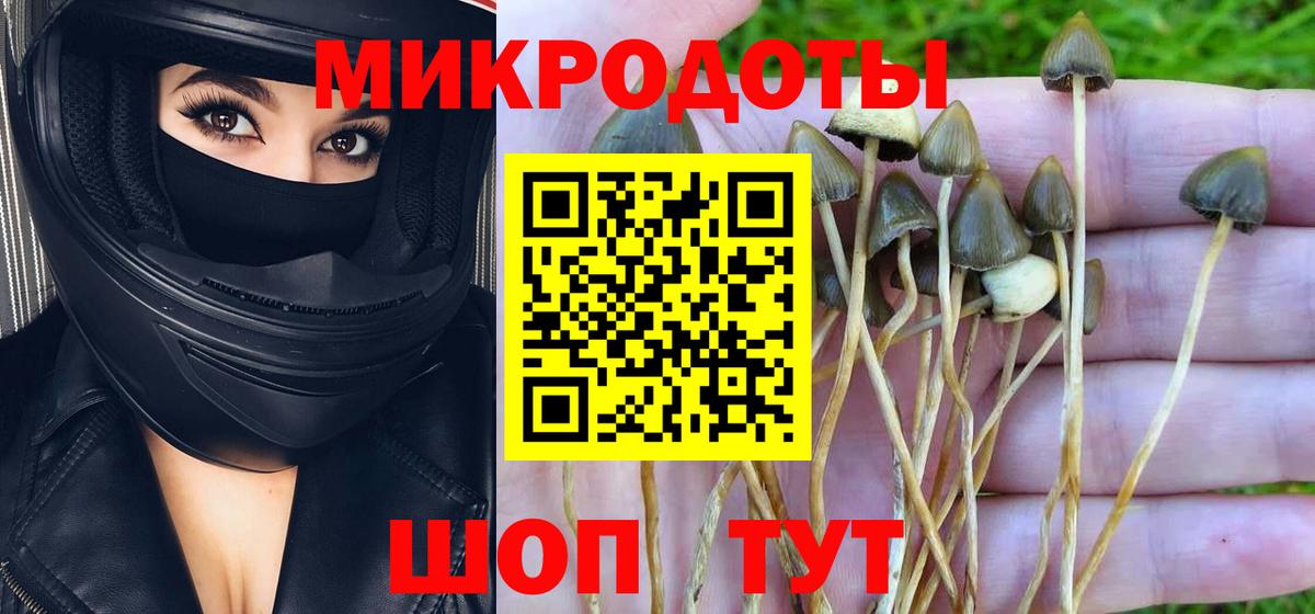 Химки  Галлюциногенные грибы ЛСД  Вход с VPN 